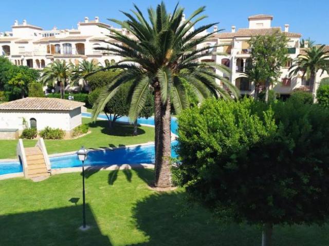 Alquiler 2 Dormitorio Apartamentos Alicante Alicante DS104508384