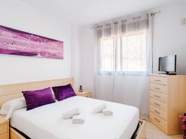 Alquiler 2 Dormitorio Apartamentos Alicante Alicante DS104845480