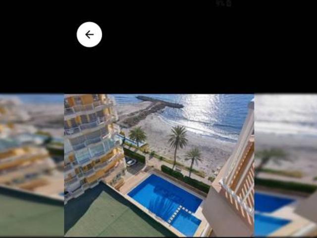 Alquiler 2 Dormitorio Apartamentos Alicante Alicante DS102580978