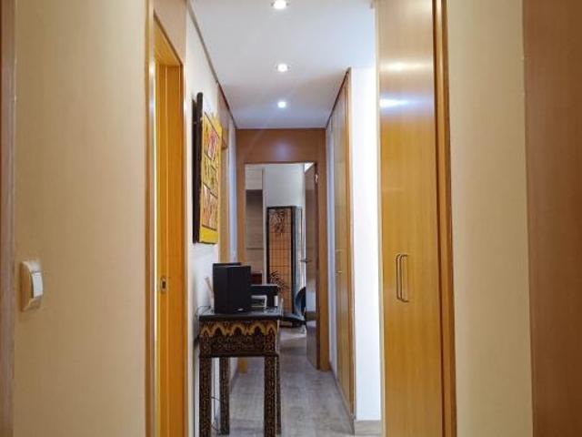 Alquiler 2 Dormitorio Apartamentos Alicante Alicante DS103841459
