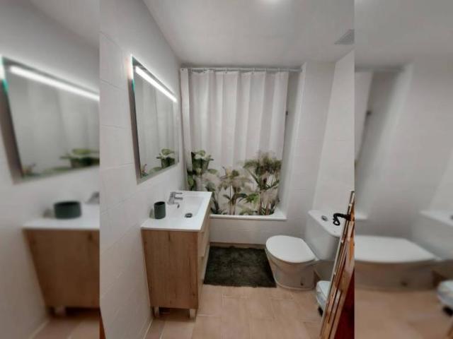 Alquiler 2 Dormitorio Apartamentos Alicante Alicante DS92823694