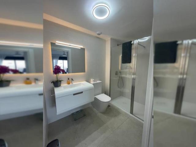 Alquiler 2 Dormitorio Apartamentos Alicante Alicante DS96038612