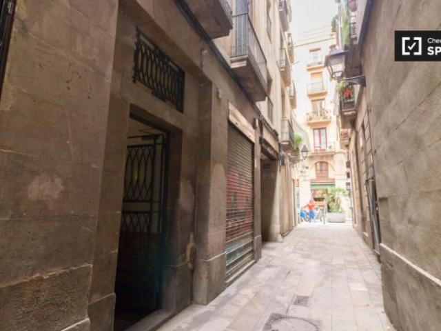 Alquiler 2 Dormitorio Apartamentos Barcelona Barcelona DS91290885