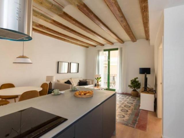 Alquiler 2 Dormitorio Apartamentos Barcelona Barcelona DS91291394