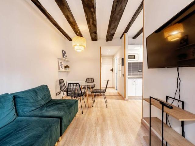 Alquiler 2 Dormitorio Apartamentos Barcelona Barcelona DS101731587