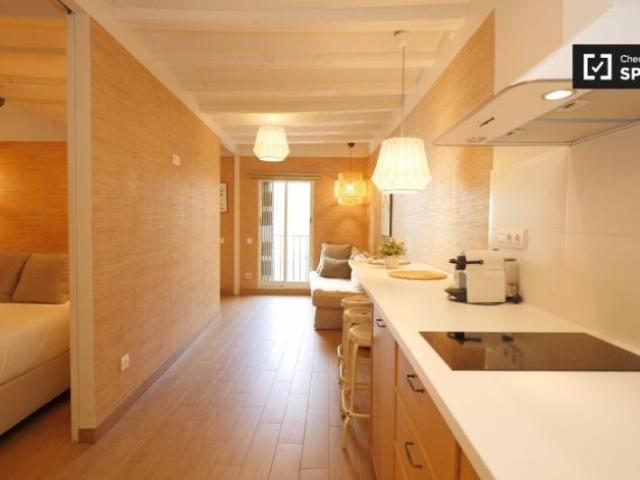 Alquiler 2 Dormitorio Apartamentos Barcelona Barcelona DS101771154