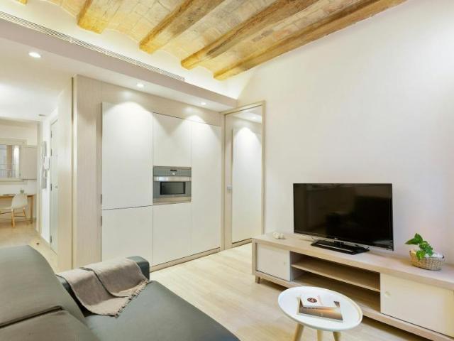 Alquiler 2 Dormitorio Apartamentos Barcelona Barcelona DS101775320
