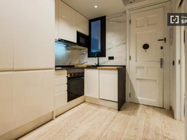 Alquiler 2 Dormitorio Apartamentos Barcelona Barcelona DS101817553