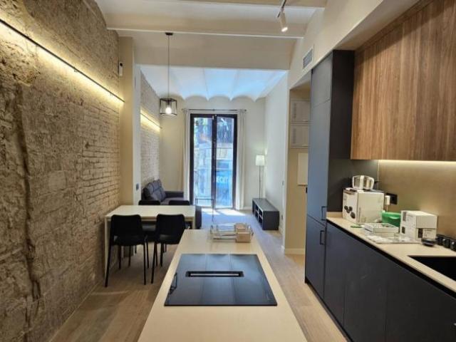 Alquiler 2 Dormitorio Apartamentos Barcelona Barcelona DS102554379
