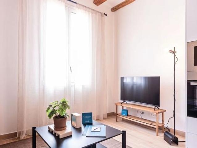 Alquiler 2 Dormitorio Apartamentos Barcelona Barcelona DS104599337