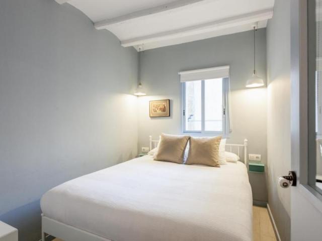 Alquiler 2 Dormitorio Apartamentos Barcelona Barcelona DS104721156