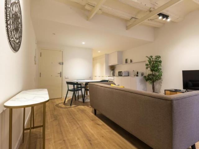 Alquiler 2 Dormitorio Apartamentos Barcelona Barcelona DS104721208