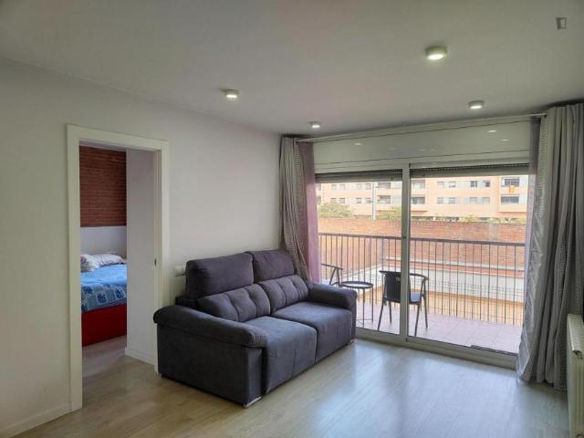 Alquiler 2 Dormitorio Apartamentos Barcelona Barcelona DS104721368
