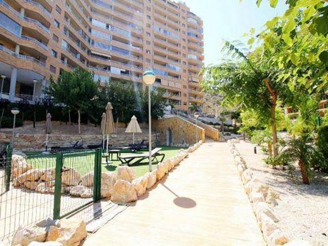 Alquiler 2 Dormitorio Apartamentos Benidorm Comunidad Valenciana DLS98303825