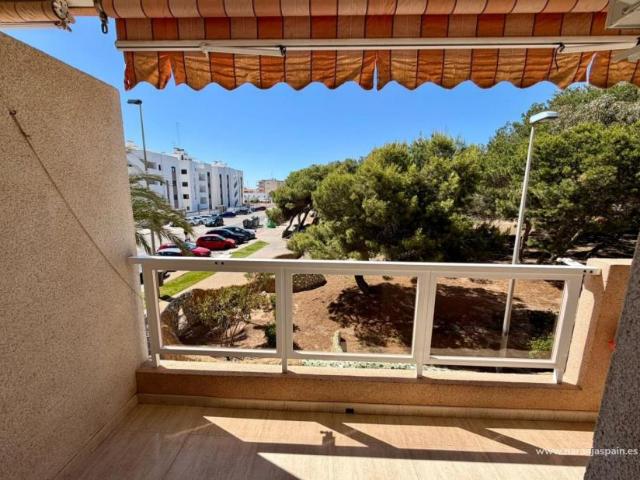 Alquiler 2 Dormitorio Apartamentos Guardamar Del Segura Alicante DLS102555593