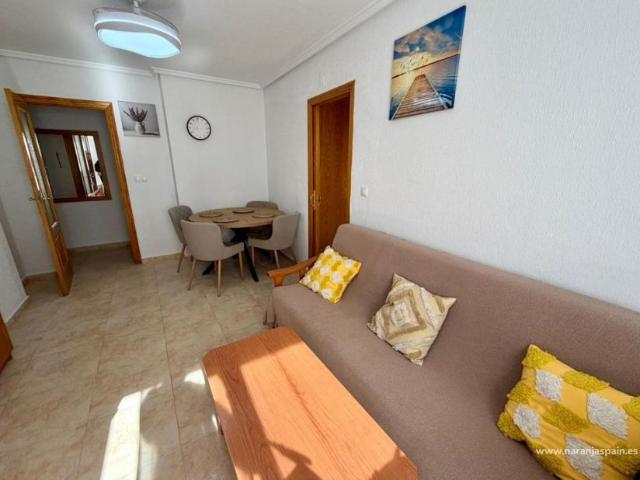Alquiler 2 Dormitorio Apartamentos Guardamar Del Segura Alicante DS101234232