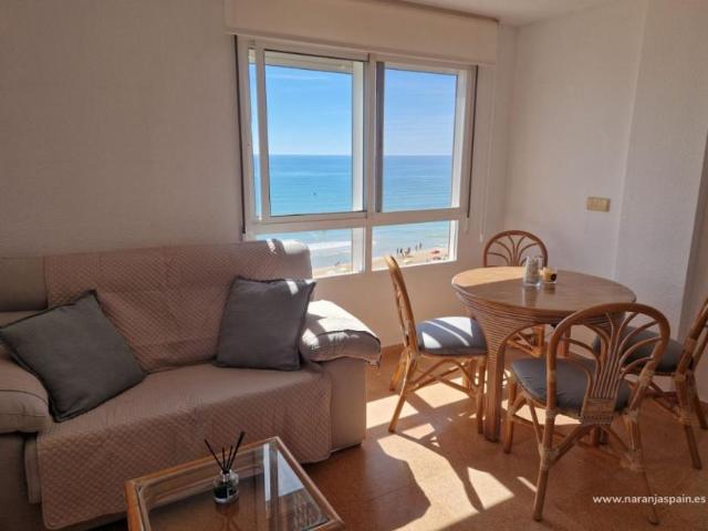 Alquiler 2 Dormitorio Apartamentos Guardamar Del Segura Alicante DS102885884