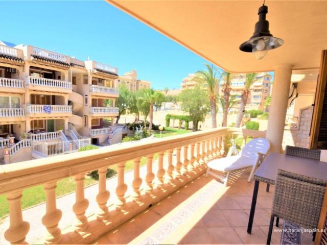 Alquiler 2 Dormitorio Apartamentos Guardamar Del Segura Alicante DS86218574