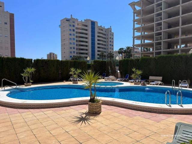 Alquiler 2 Dormitorio Apartamentos Guardamar Del Segura Alicante DS90977653