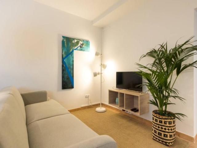 Alquiler 2 Dormitorio Apartamentos Las Palmas De Gran Canaria Las Palmas De Gran Canaria DLS101854186