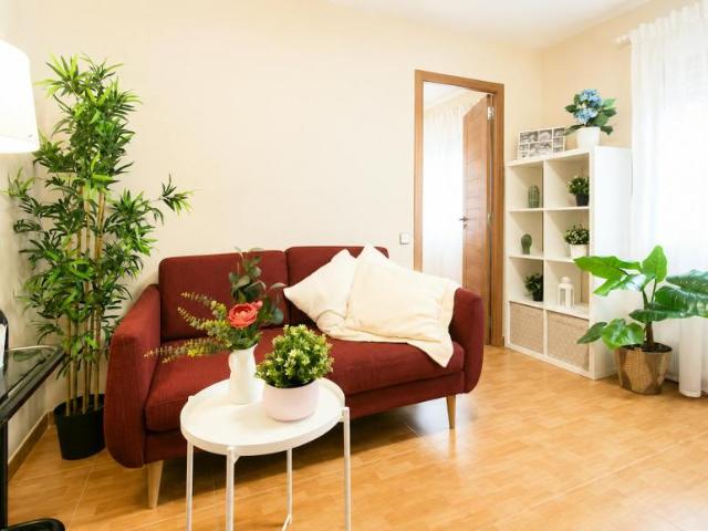 Alquiler 2 Dormitorio Apartamentos L'Hospitalet De Llobregat L'Hospitalet De Llobregat DS103842159