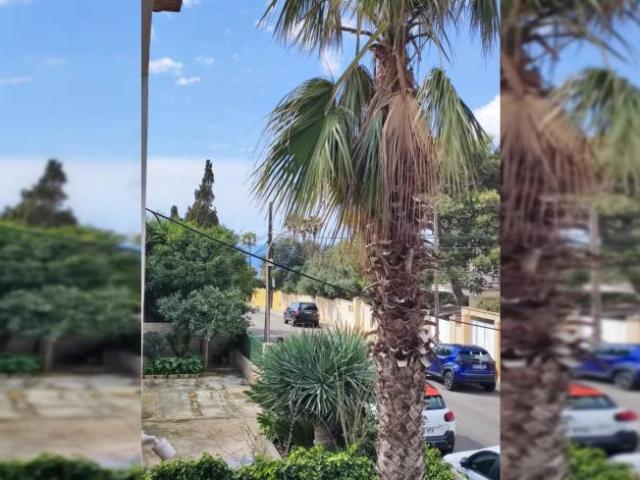 Alquiler 2 Dormitorio Apartamentos Palma De Mallorca Palma De Mallorca DLS100359848