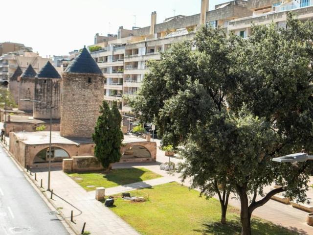 Alquiler 2 Dormitorio Apartamentos Palma Palma DS102630079