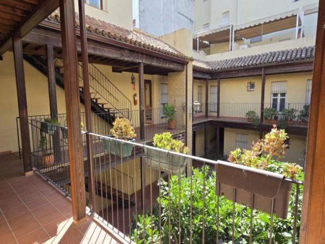 Alquiler 2 Dormitorio Apartamentos Seville Seville DS104600800
