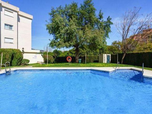 Alquiler 2 Dormitorio Apartamentos Torremolinos Andalucía DLS98684819