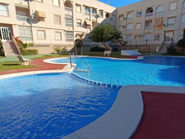 Alquiler 2 Dormitorio Apartamentos Torrevieja Alicante DLS102204300