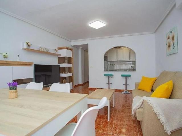 Alquiler 2 Dormitorio Apartamentos Torrevieja Alicante DLS91069125