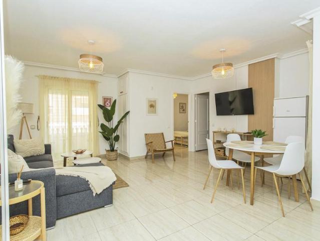 Alquiler 2 Dormitorio Apartamentos Torrevieja Alicante DS101915272