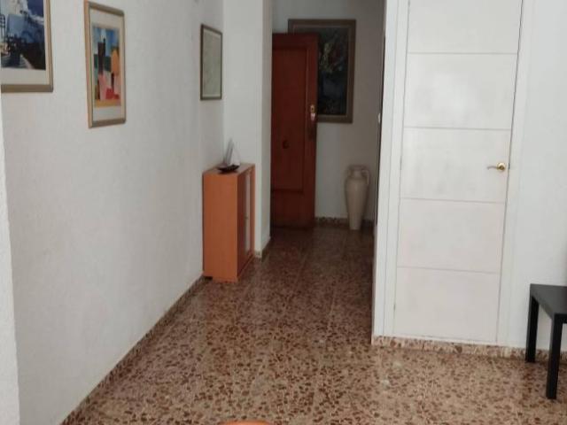 Alquiler 2 Dormitorio Apartamentos Valencia Valencia DS103392302