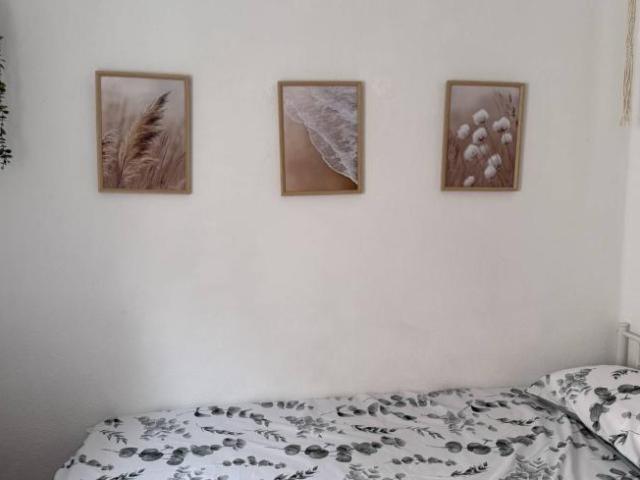 Alquiler 2 Dormitorio Shared Living/Roommate Madrid Madrid DS102021249