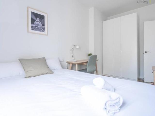 Alquiler 2 Dormitorio Shared Living/Roommate Valencia Valencia DLS101738397