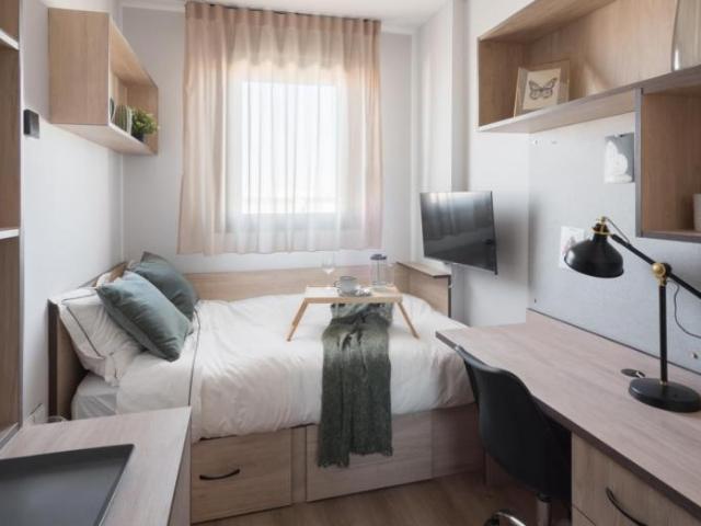 Alquiler 338 Dormitorio Apartamentos Malaga Malaga DS103287540