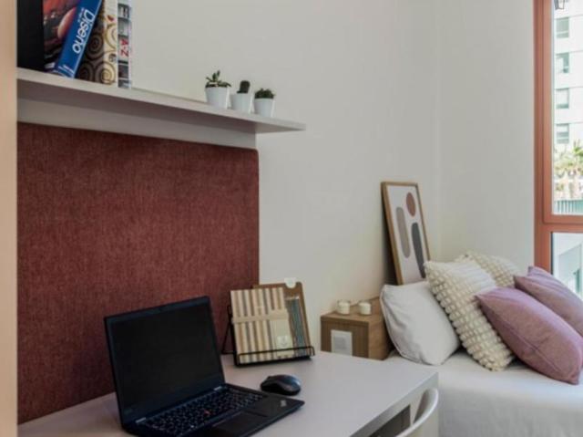 Alquiler 348 Dormitorio Apartamentos Barcelona Barcelona DS104721301