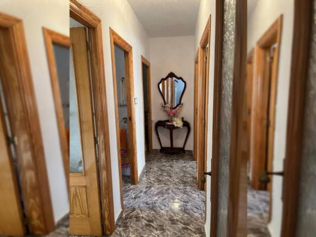 Alquiler 3 Dormitorio Apartamentos Murcia Murcia DS104565257