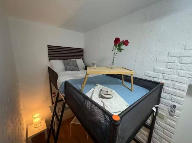 Alquiler 3 Dormitorio Apartamentos Madrid Madrid DS98101690