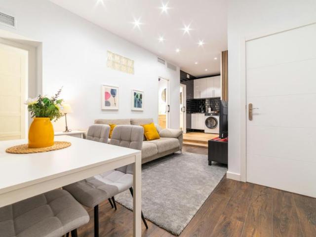 Alquiler 3 Dormitorio Apartamentos Madrid Madrid DS102554072