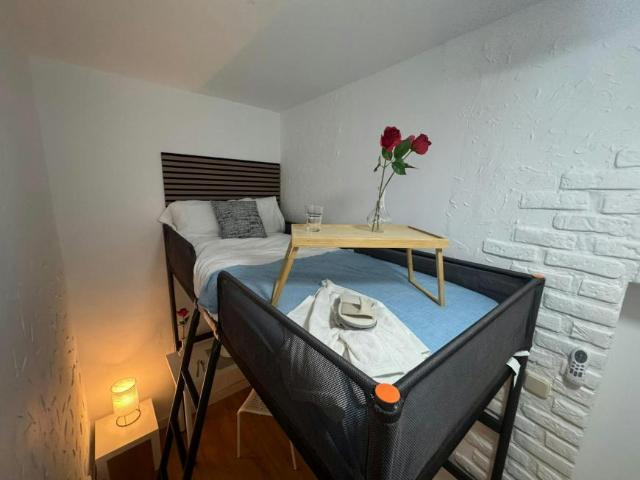 Alquiler 3 Dormitorio Apartamentos Madrid Madrid DS104293198