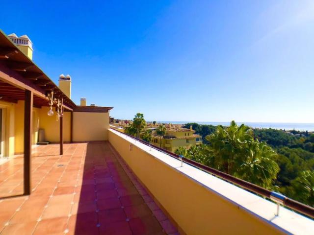 Alquiler 3 Dormitorio Apartamentos Málaga Andalusia DS100848240
