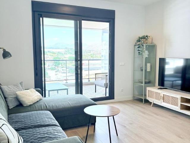 Alquiler 3 Dormitorio Apartamentos Málaga Andalusia DS101214116