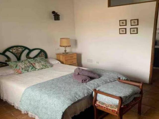 Alquiler 3 Dormitorio Apartamentos Malaga Malaga DS90535705