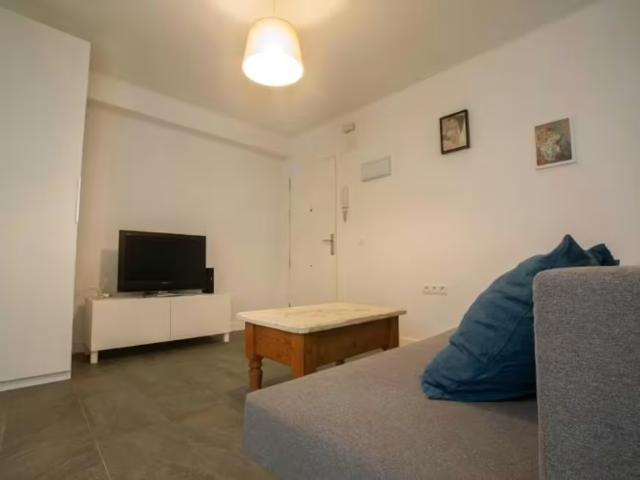 Alquiler 3 Dormitorio Apartamentos Málaga Málaga DS97814599