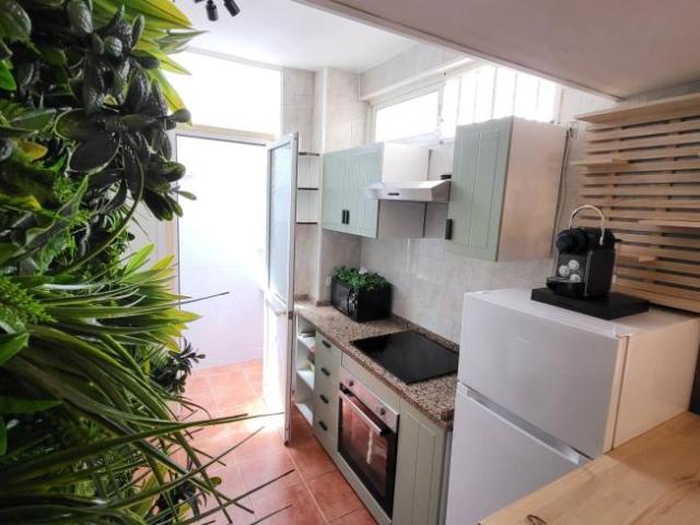 Alquiler 3 Dormitorio Apartamentos Malaga Malaga DS100417741