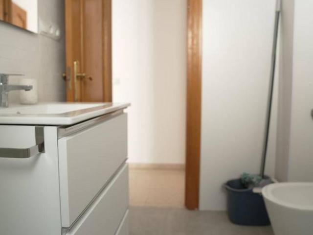 Alquiler 3 Dormitorio Apartamentos Malaga Malaga DS102115316