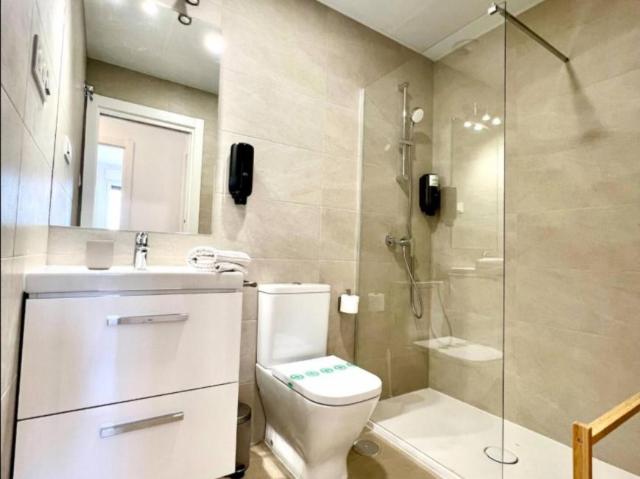 Alquiler 3 Dormitorio Apartamentos Málaga Málaga DS103617173