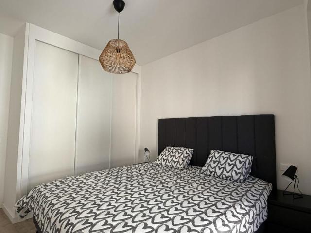 Alquiler 3 Dormitorio Apartamentos Málaga Málaga DS103012496