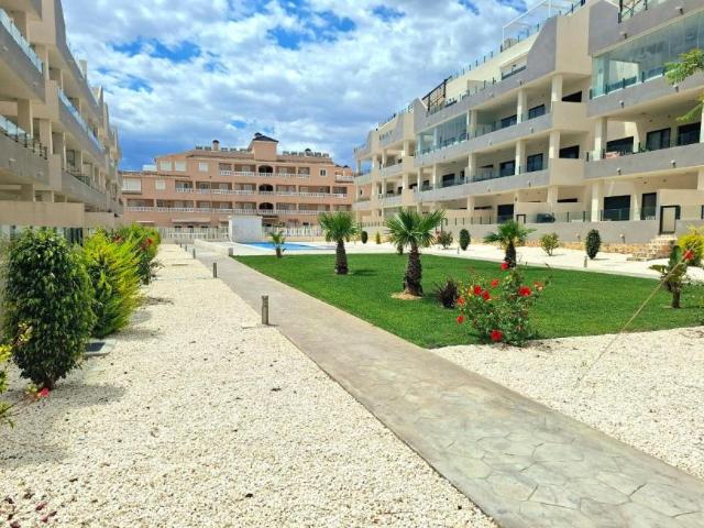 Alquiler 3 Dormitorio Apartamentos Orihuela Costa Alicante DS102398507